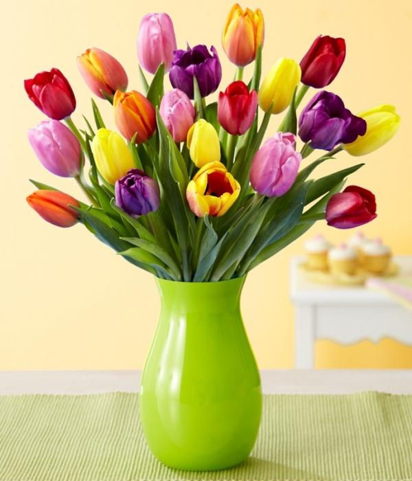 Mikor kell beültetni a tulipánt? Egyszerű szabályok