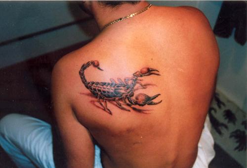 A tetoválás jelentése. Skorpió