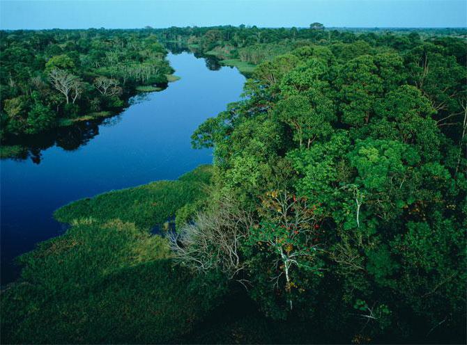 Hol folyik az Amazon? Delta folyó és egyéb jellemzők