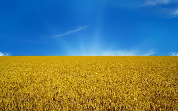 Az ukrán zászló színei szimbolizálják