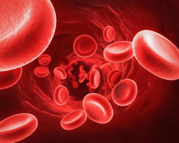 Alacsony hemoglobin vér transzfúzió: következmények, eljárás leírása és kezelési jellemzői