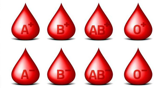 Az ABO rendszer szerinti vércsoport meghatározására vonatkozó szabályok